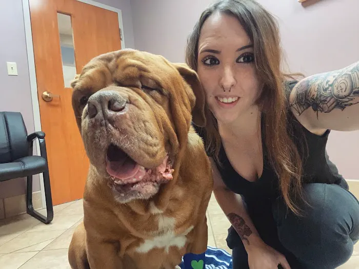 VCA Northwood Animal Hospital Picture 2