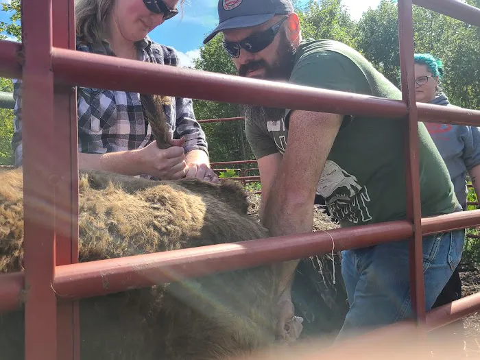 Hoof Beats Mobile Veterinary Services Picture 5