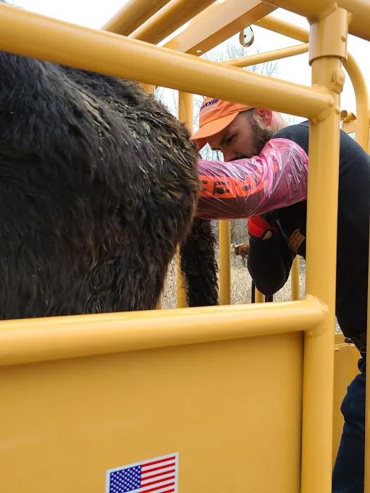 Hoof Beats Mobile Veterinary Services Picture 3