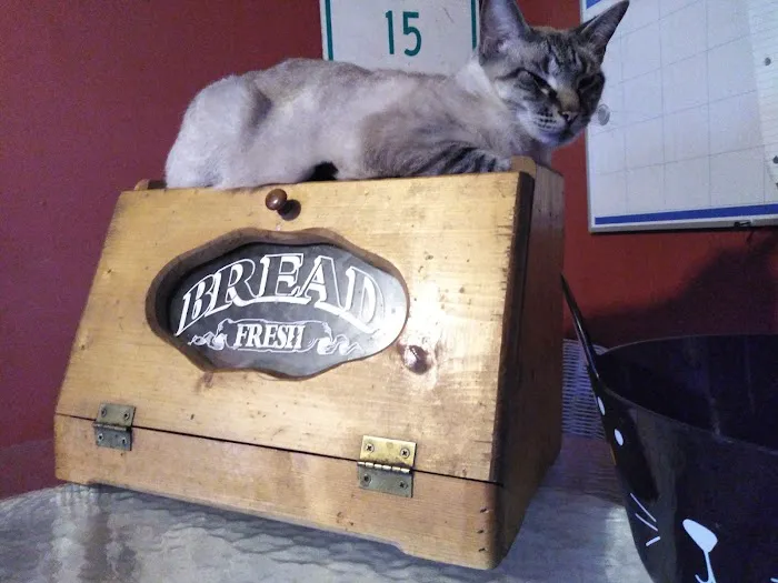 Animal Medical Center Picture 9