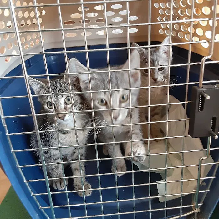Animal Medical Center Picture 4