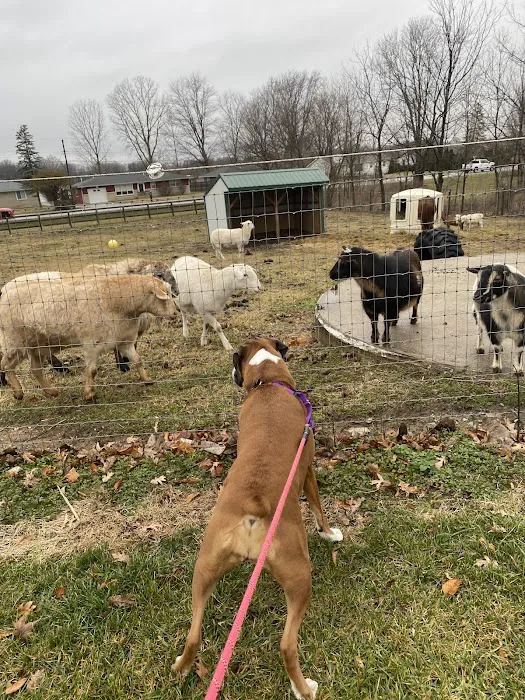 Herrmann Veterinary Clinic Picture 8
