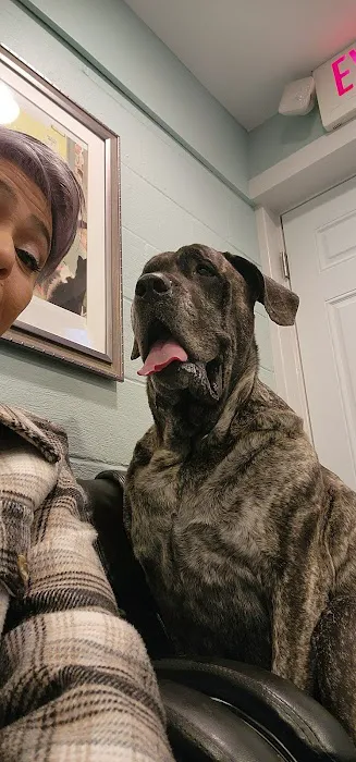 Herrmann Veterinary Clinic Picture 2