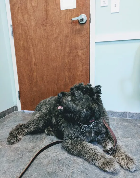 Herrmann Veterinary Clinic Picture 9