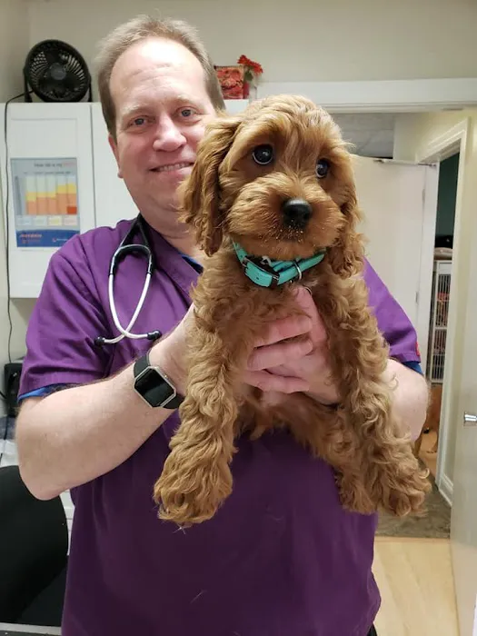 Cicero Veterinary Clinic Picture 5