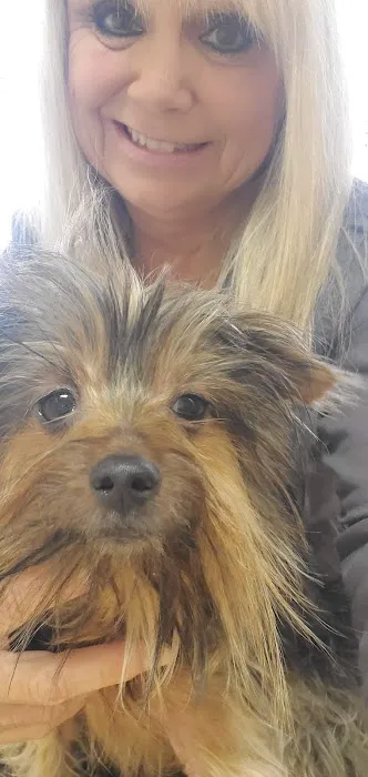 Cicero Veterinary Clinic Picture 9