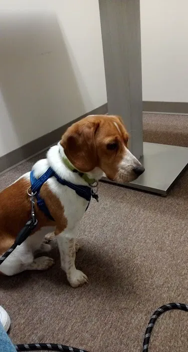 Noblesville Veterinary Clinic - Dr. Tim Fleck Picture 5