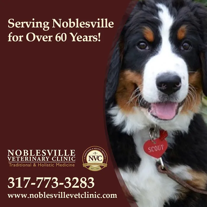 Noblesville Veterinary Clinic - Dr. Tim Fleck Picture 10