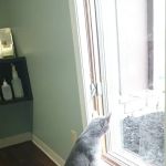 Four Loving Paws Veterinary Services Inc