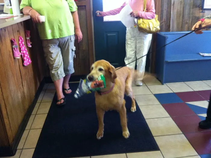 Crawfordsville Veterinary Clinic: Martin Tom DVM Picture 5