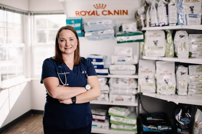 All Animals Veterinary Clinic Picture 2