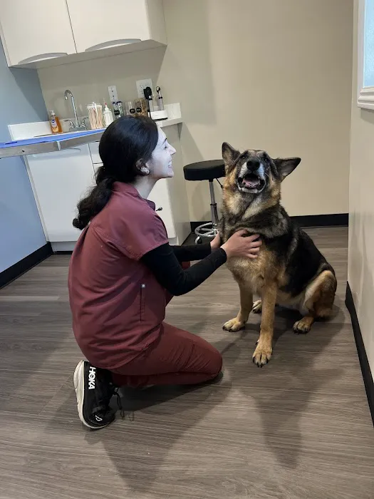 TotalCare Veterinary & Surgical Center Picture 5