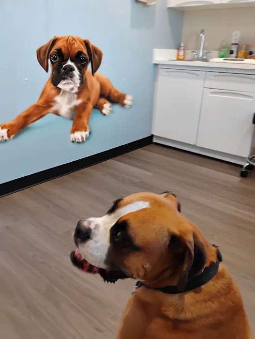 TotalCare Veterinary & Surgical Center Picture 4