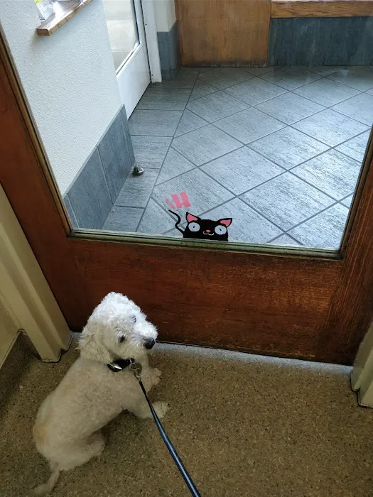 Pacifica Pet Hospital Picture 10