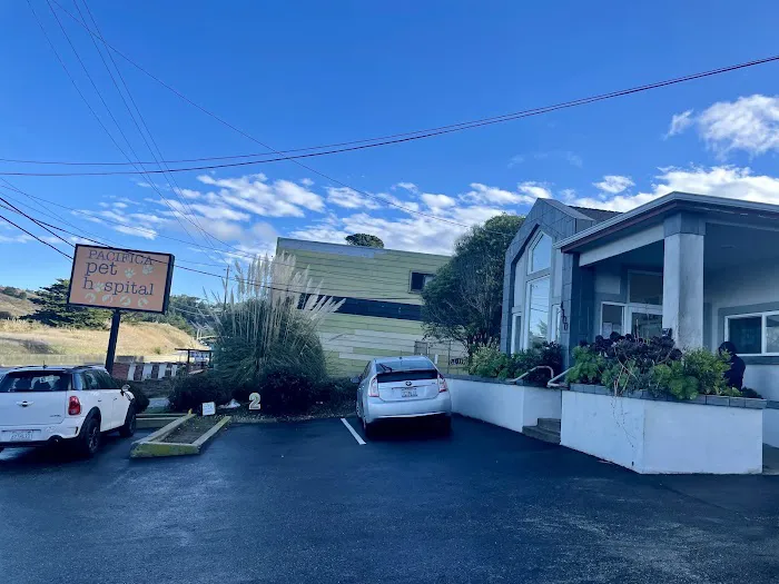 Pacifica Pet Hospital Picture 1