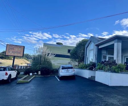 Pacifica Pet Hospital