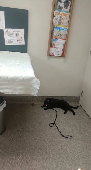 Pacifica Pet Hospital Picture 7