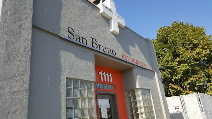 San Bruno Pet Hospital Picture 1