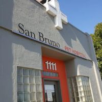 San Bruno Pet Hospital ico