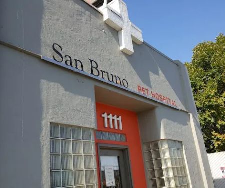 San Bruno Pet Hospital
