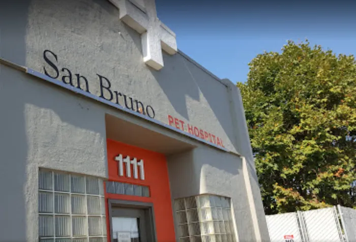 San Bruno Pet Hospital Picture 10