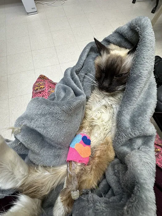 San Bruno Pet Hospital Picture 7
