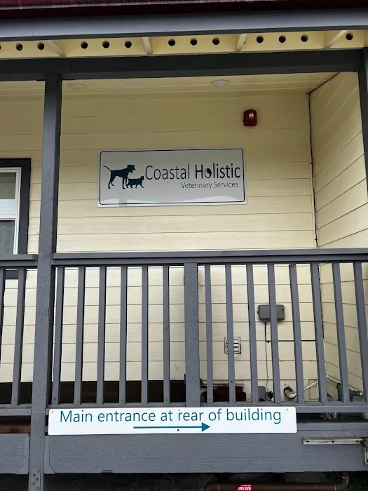 Coastal Holistic Picture 5
