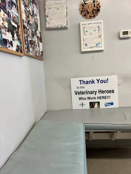 Masson Veterinary Hospital Picture 2