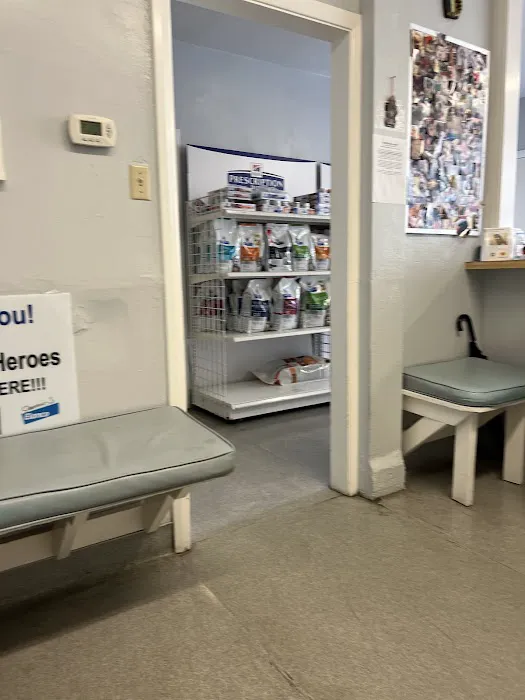 Masson Veterinary Hospital Picture 1