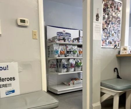 Masson Veterinary Hospital