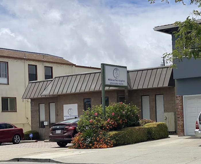 Millbrae Pet Hospital Picture 6