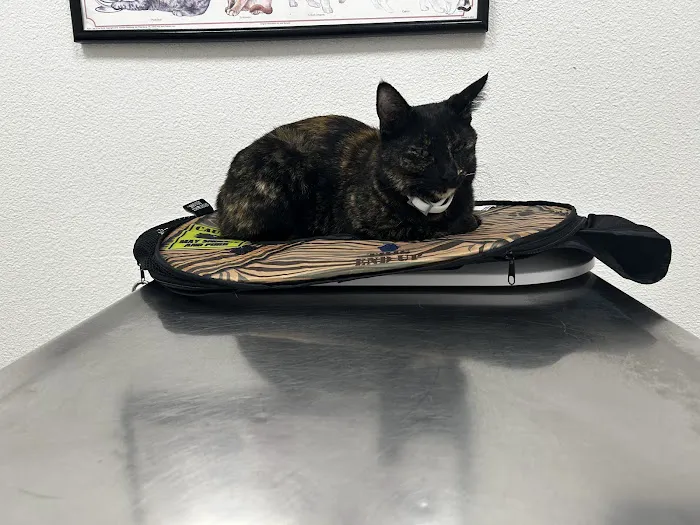 Millbrae Pet Hospital Picture 5