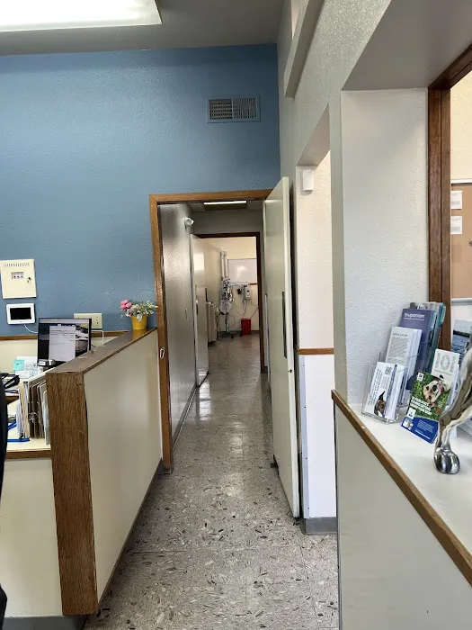 Millbrae Pet Hospital Picture 4