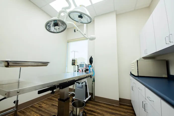 Levy Veterinary Hospital Picture 8