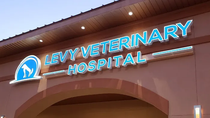 Levy Veterinary Hospital Picture 9