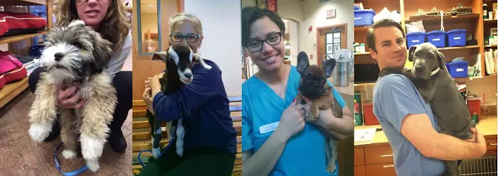Metairie Small Animal Hospital - Kenner Clinic Picture 2