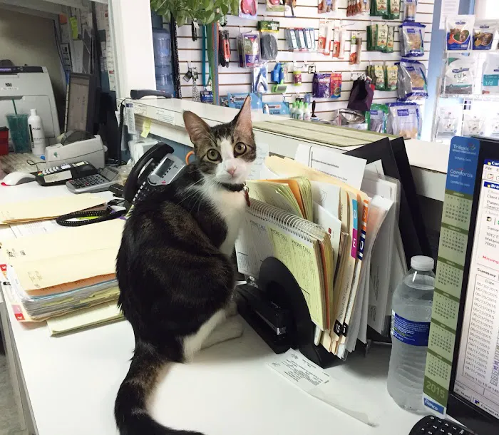 Metairie Small Animal Hospital - Kenner Clinic Picture 4