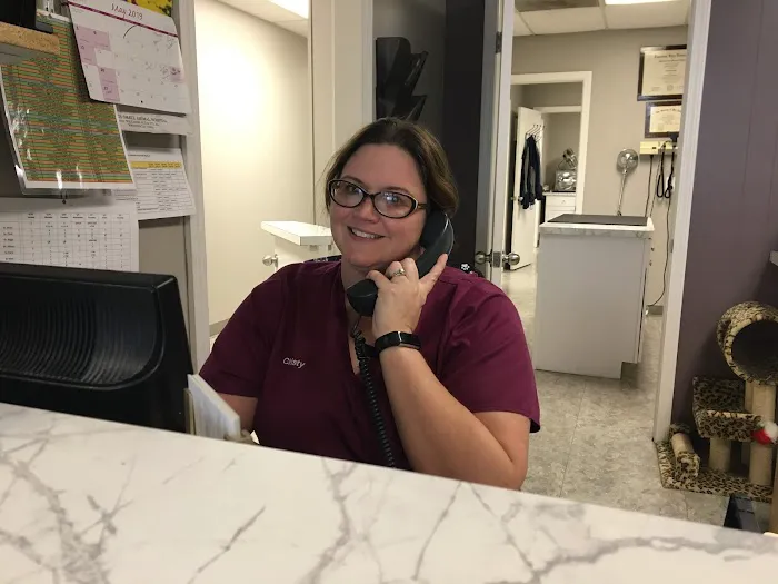 Metairie Small Animal Hospital - Kenner Clinic Picture 1