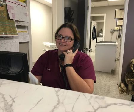 Metairie Small Animal Hospital - Kenner Clinic