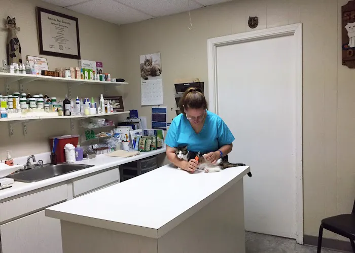 Metairie Small Animal Hospital - Kenner Clinic Picture 9