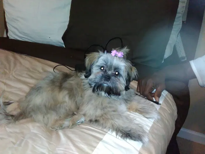 Hyde Park Animal Hospital -Stony Island Picture 1