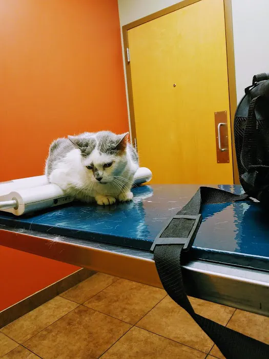 Hyde Park Animal Hospital -Stony Island Picture 4