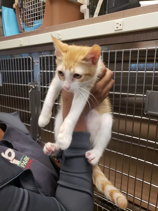 Hyde Park Animal Hospital -Stony Island Picture 2