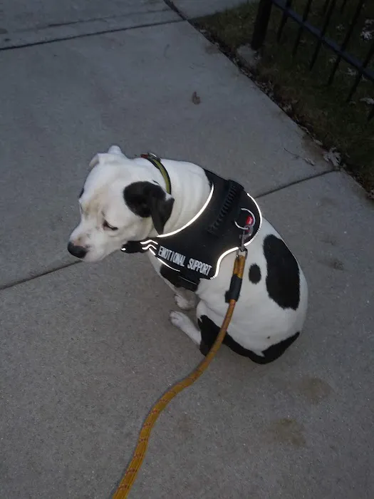 Ashland Animal Hospital Picture 10