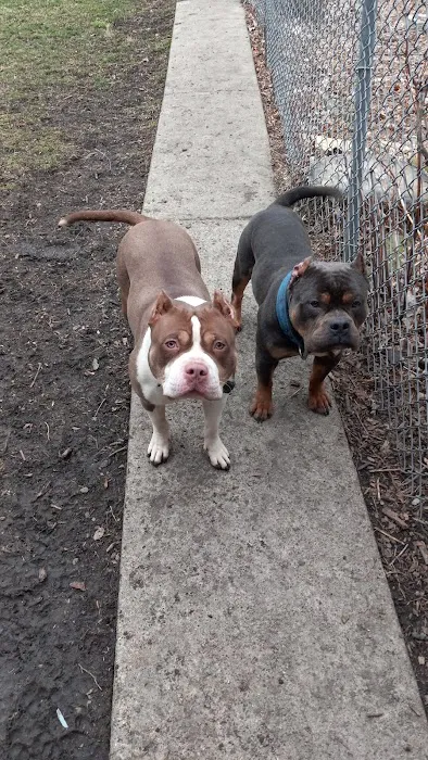 Ashland Animal Hospital Picture 2