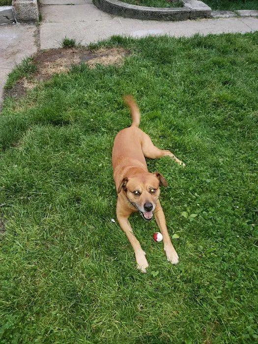 Ashland Animal Hospital Picture 7