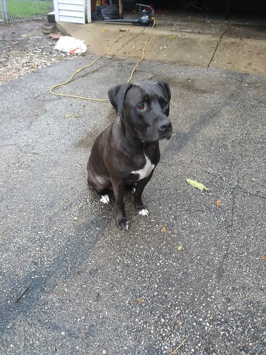 Ashland Animal Hospital Picture 8