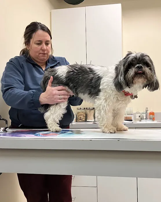 Beverly Hills Animal Hospital Picture 7