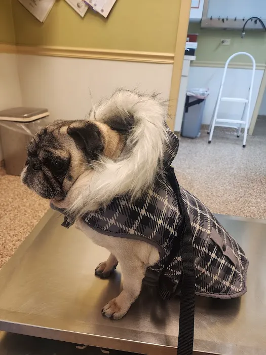 Hilltop Animal Hospital Picture 5