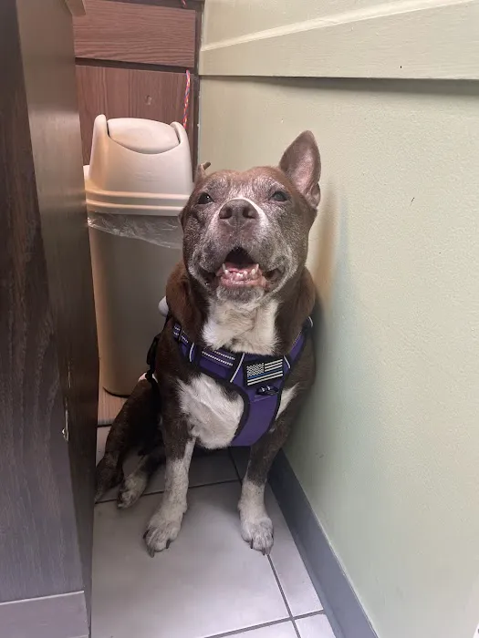 Oak Village Animal Hospital Picture 5